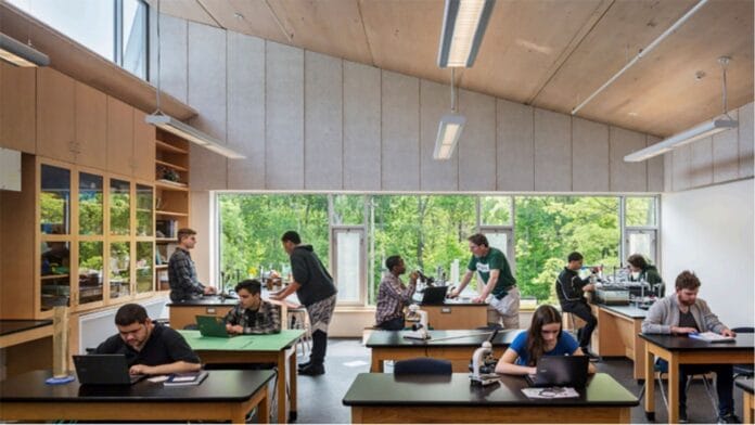 El poder de lo invisible Interior de edificio moderno construido en madera, ejemplo de neuroarquitectura