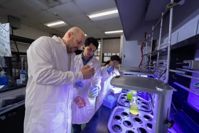 Las microalgas vuelven al centro de la escena Un avance científico reactiva el vínculo entre microalgas y biocombustibles, con resultados que podrían cambiar su viabilidad energética a gran escala.