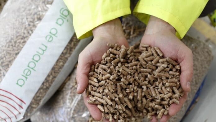 Neuquén tendrá una planta de pellets de biomasa Pellets de biomasa para calefacción sustentable
