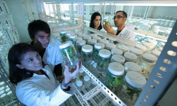 Malasia apuesta por el talento joven para impulsar un futuro biobasado Jóvenes formándose en biotecnología e inteligencia artificial en Malasia
