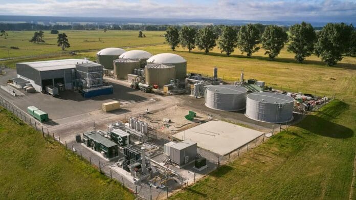 Nueva Zelanda encuentra en sus agricultores la clave para enfrentar la crisis energética que azota al país Producción de biogás en Nueva Zelanda con cultivos agrícolas y biodigestores rurales