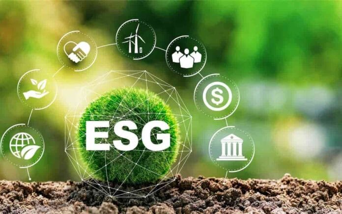 Cómo la inversión en sostenibilidad está cambiando el corazón de las empresas medianas (1) Empresas medianas invierten en sostenibilidad energética y digitalización