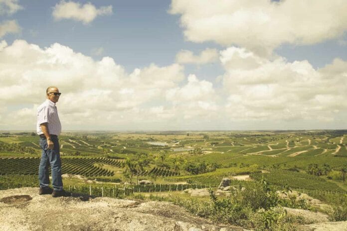 El empresario argentino Alejandro Bulgheroni premiado con el Lifetime Achievement Award 2025 por Wine Enthusiast.