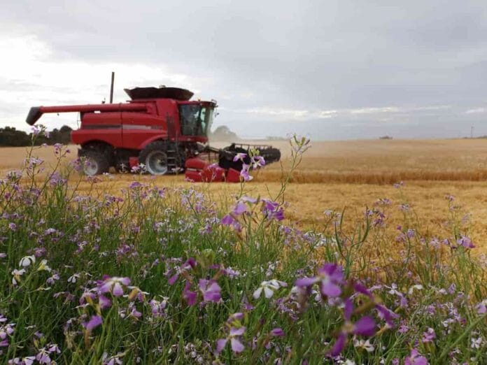 COP30, la agricultura se reinventa como aliada del clima COP30 agricultura