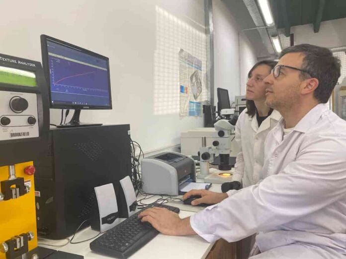 Investigadores del CONICET desarrollan materiales biodegradables para envases y cultivos hortícolas