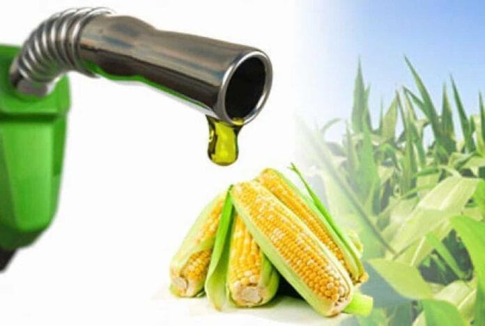 Maíz a metanol: la investigación que busca superar el límite biológico del etanol