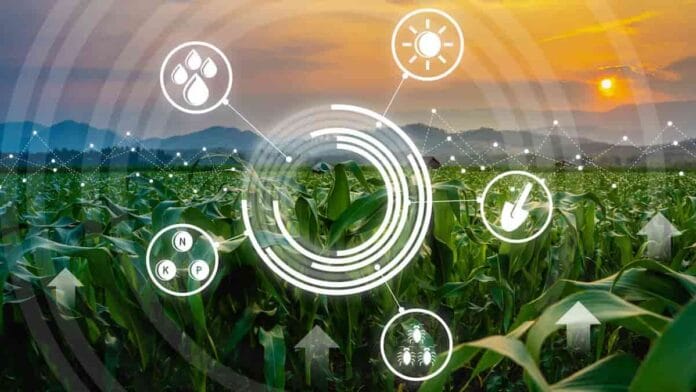 nanotecnología que busca transformar la protección de cultivos Puntos cuánticos de biomasa: nueva alternativa para la protección de cultivos