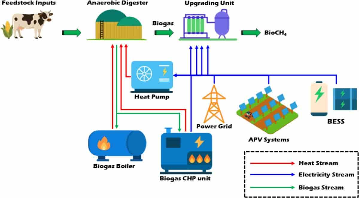 Agrovoltaica para biometano: cómo el calor del sol puede transformar el negocio energético en el campo Diagrama de flujo de agrovoltaica para biometano-esquema