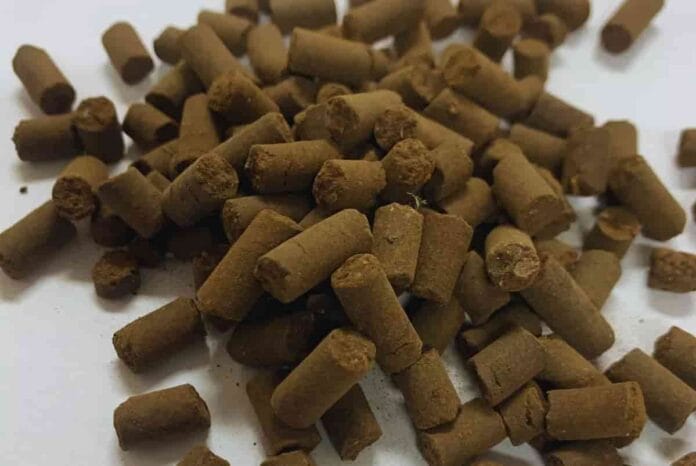 Biopellet, la apuesta del INTA que convierte residuos en un fertilizante capaz de regenerar suelos y cambiar el manejo agrícola (1) Biopellet fertilizante pelletizado desarrollado por INTA y Conicet