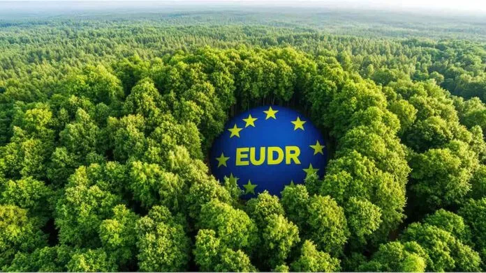 Europa vuelve a pisar el freno a último momento y nuevamente retrasa su ley contra la deforestación El Parlamento Europeo aprobó un nuevo retraso del reglamento europeo contra la deforestación (EUDR)