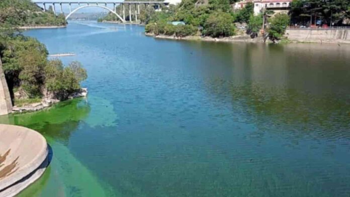 la revolución tecnológica que busca sanar el San Roque desde el espacio y el átomo contaminación del San Roque con proliferación de algas verdes en la superficie del lago