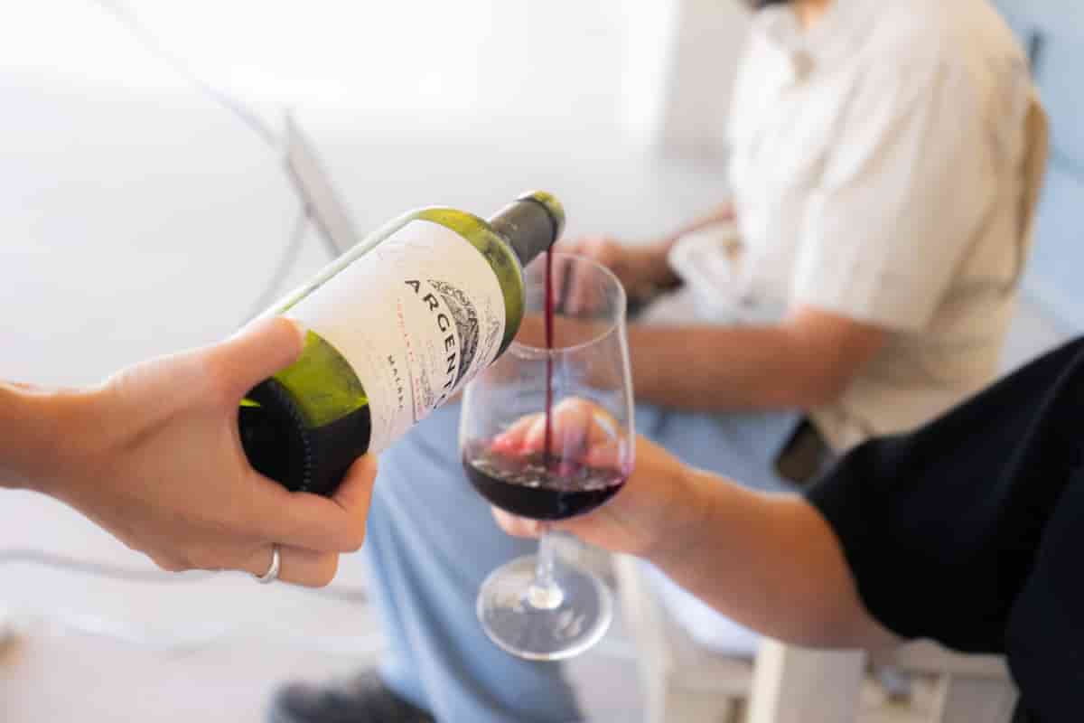 Vino Fairtrade: encuentro binacional en Mendoza refuerza su impacto regional
