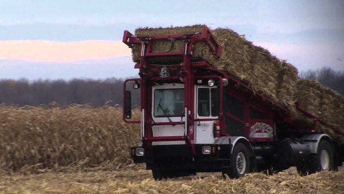 lmacenamiento directo de biomasa residuos agricolas