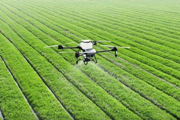 bioestimulante nanotecnológico aplicado en cultivos para reducir estrés climático