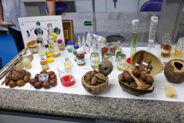 Brasil PNDBio plan nacional bioeconomía 2035 — naturaleza como política de Estado