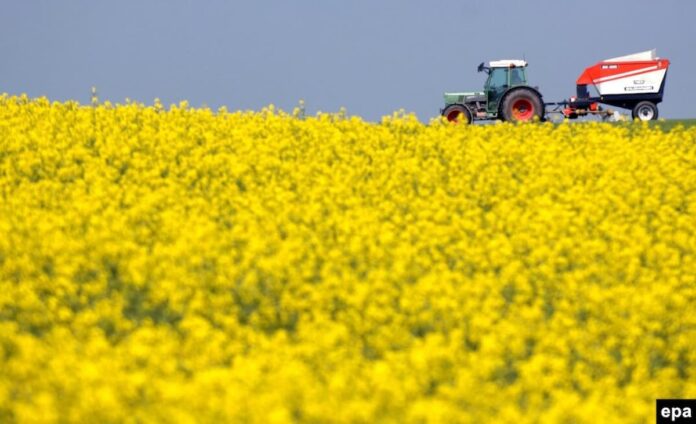Campos de colza en Ucrania listos para siembra, biodiesel europeo