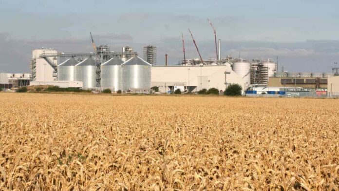 Planta de bioetanol Ensus en Wilton Teesside Reino Unido reactivación CO₂ biogénico