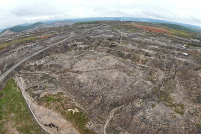 Un consorcio japonés e indonesio cultivará pongamia en una ex mina de carbón en Borneo para evaluar su potencial como biocombustible y fuente de créditos de carbono.