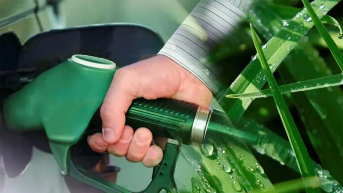 Con el petróleo en alza por el conflicto en Irán, Paraguay reglamentó su Ley de Etanol y garantiza que al menos el 50% del alcohol en combustibles sea de caña de azúcar nacional.