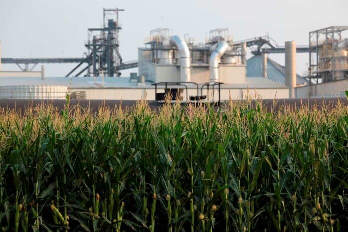 Campos de maíz en el Midwest estadounidense con silos al fondo — etanol y valor de la tierra agrícola