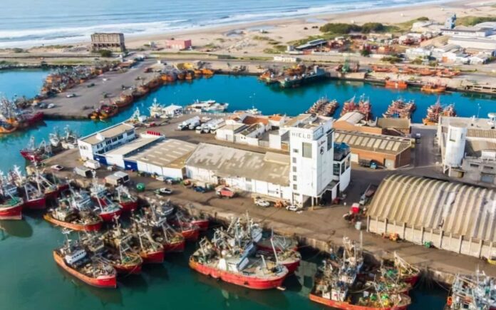 Científicos marplatenses convierten los residuos grasos del puerto en bioplásticos Científicos de Mar del Plata desarrollan bioplásticos a partir de residuos grasos del puerto usando microorganismos. Una solución ambiental con valor comercial.