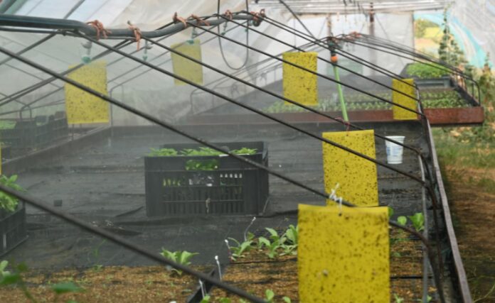 Prácticas de bioeconomía circular en la agricultura de Europa y Asia Central presentadas por la FAO