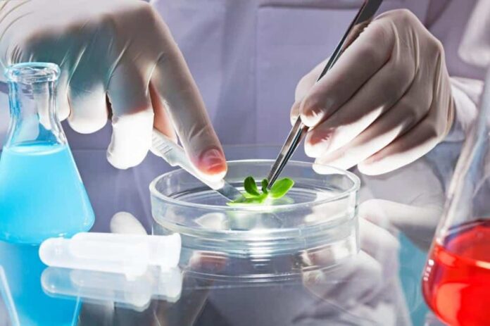 IICA y la Red Latinoamericana de Bioeconomía lanzan BioSinergia 2026 : Webinar del ciclo BioSinergia 2026 sobre bioeconomía en América Latina organizado por el IICA