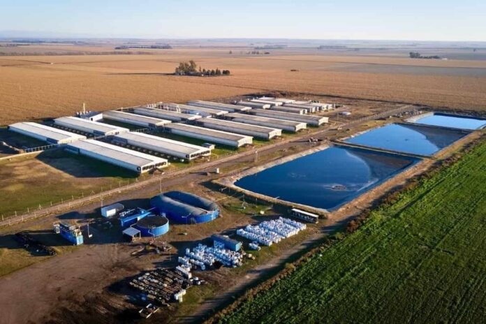 Una planta cordobesa de biogás abre una nueva etapa para los créditos de carbono Planta de biogás 3C Biogás certifica créditos de carbono bajo el Estándar CBA en Córdoba
