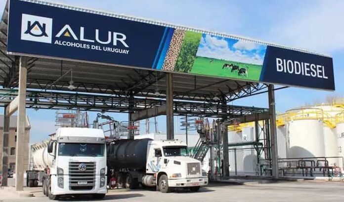 Alur reconfigura su estrategia para convertir a Uruguay en una plataforma de bioeconomía Planta industrial de Alur en Uruguay produciendo biocombustibles para la bioeconomía nacional