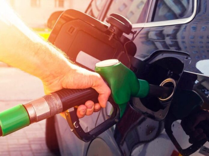 Biocombustibles El IPAAT se sumó al Movimiento por la Transición Energética de la Movilidad