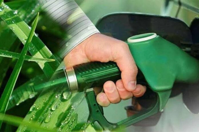 La Secretaría de Energía fija nuevos precios para el bioetanol en julio La Secretaría de Energía fija nuevos precios para el bioetanol en julio