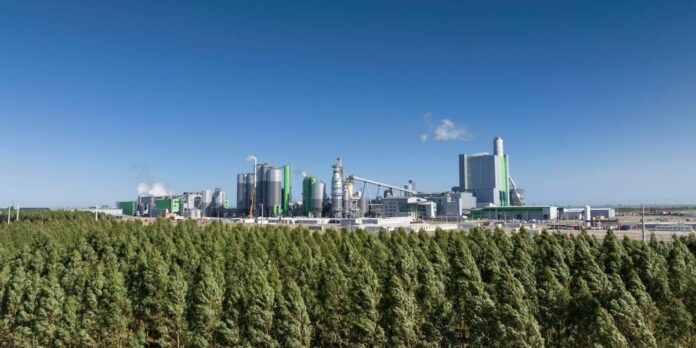 foresto-industria argentina: el crudo diagnóstico de una industria que reclama previsibilidad foresto-industria argentina: el crudo diagnóstico de una industria que reclama previsibilidad