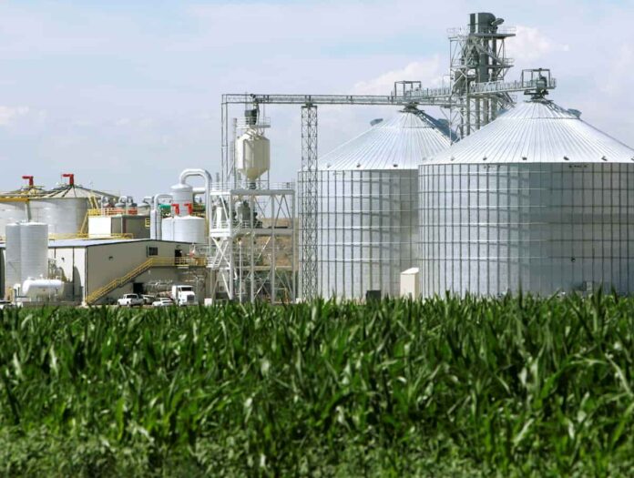 los biocombustibles pagarían hasta USD 247 por hectárea por el manejo sustentable Productores y asesores del sector estiman que los cultivos para biocombustibles podrían recibir primas de hasta USD 247 por hectárea si documentan prácticas de manejo del suelo que reduzcan la intensidad de carbono del grano.