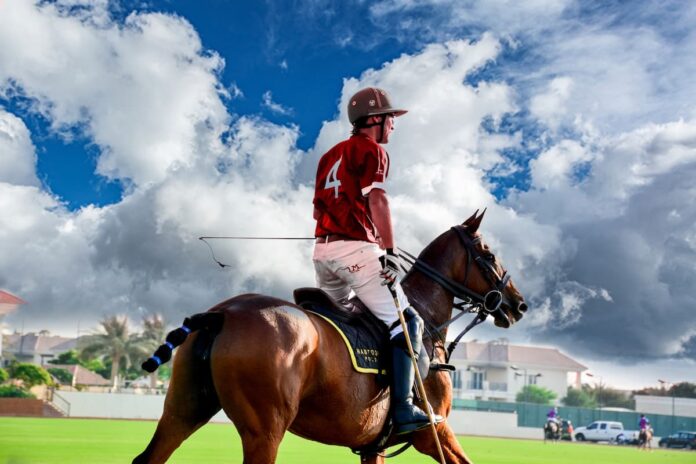 El polo argentino también se exporta en cajas Equipamiento de polo argentino fabricado por PyMEs para exportación internacional