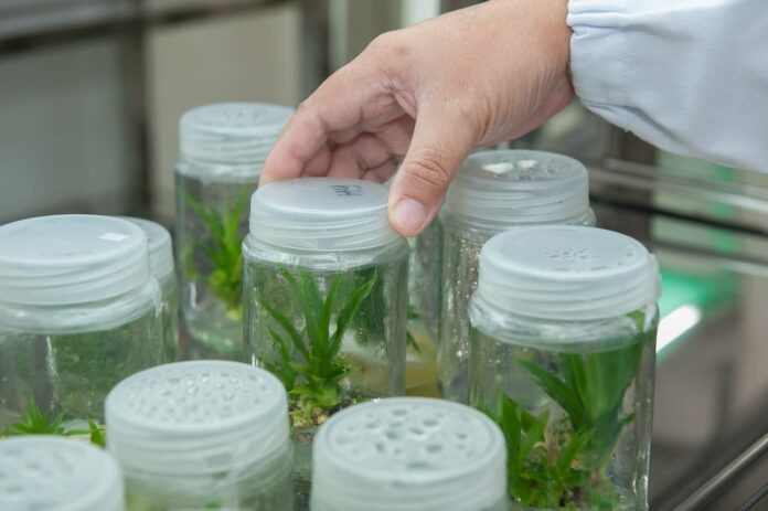 España refuerza StartBEC el programa para acelerar a las startups agroalimentarias España refuerza StartBEC el programa para acelerar a las startups agroalimentarias