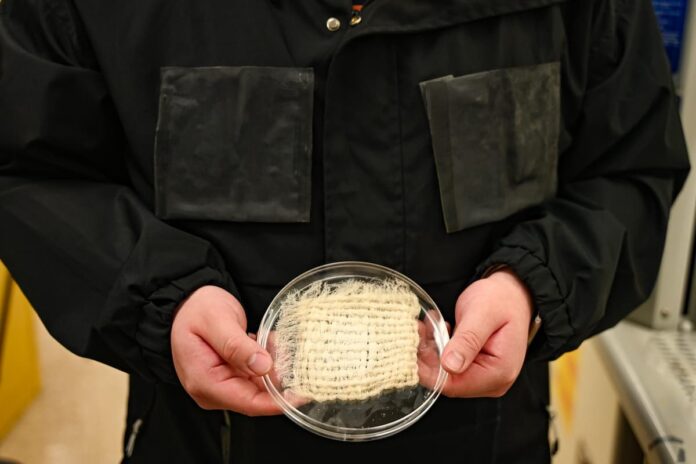 La campera a base de fibras vegetales que captura hasta 900 ml de agua del aire campera-fibras-celulosa-captura-agua-aire-universidad-texas-austin