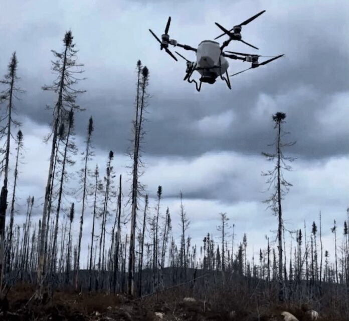 Dron de siembra aérea sobrevolando un bosque quemado en tarea de reforestación en Canadá