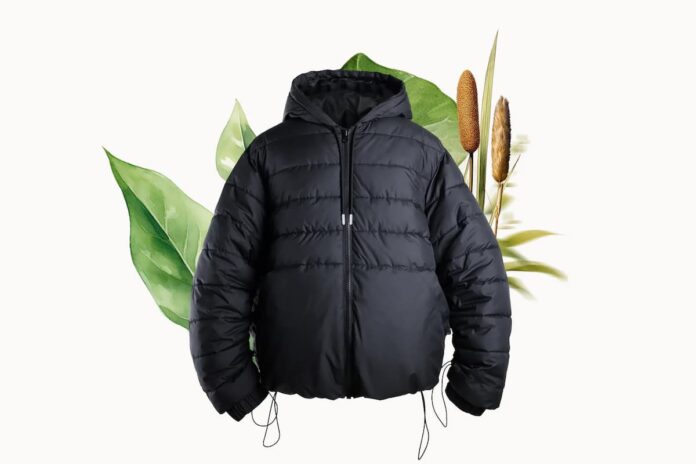 BioPuff: de las totoras cultivadas en humedales a las pasarelas más exclusivas de la moda