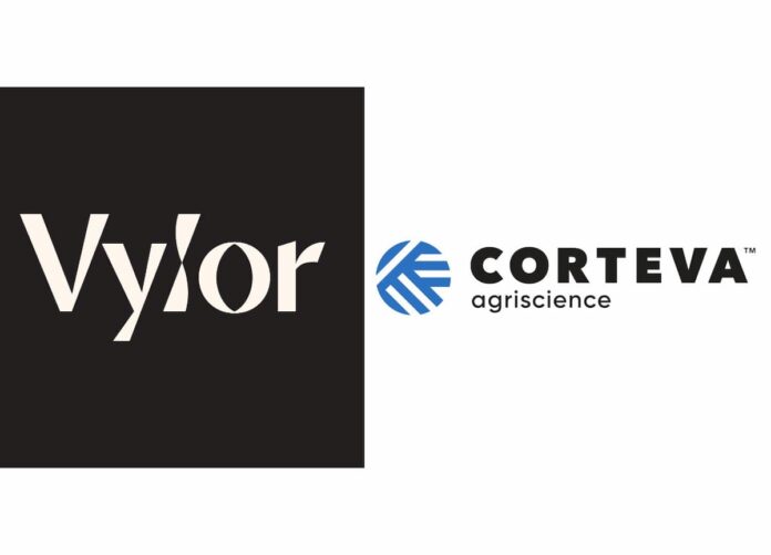 Corteva separa genética y protección de cultivos (1) Logos de Vylor y Corteva representando la separación corporativa