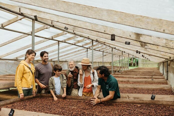 Día del Chocolate el largo viaje del cacao antes de llegar a nuestras manos El Día del Chocolate invita a descubrir la bioeconomía detrás del cacao. Un recorrido por su cadena de valor a través de Costa Rica.