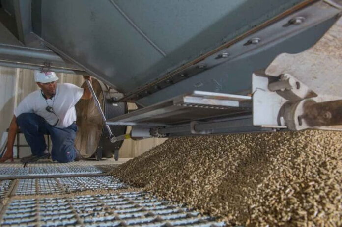 la energía que sale de los aserraderos argentinos y busca abastecer a la agroindustria Pellets de madera producidos a partir de subproductos de la forestoindustria argentina