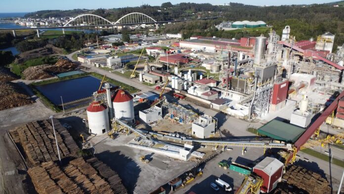 La española Ence puso en marcha la primera línea europea de celulosa fluff y apuesta por convertir su biofábrica de Asturias en un polo de celulosas especiales Planta de Ence en Navia, Asturias, donde se inauguró la primera línea de celulosa fluff de eucalipto de Europa.