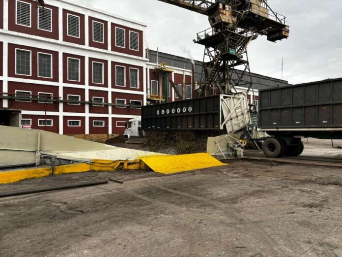 La zafra azucarera supera las 20 millones de toneladas de caña molida