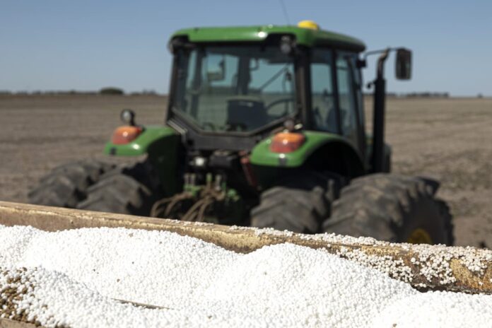 urea campo